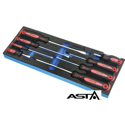 Penová vložka s náradím-skrutkovače ploché a krížové ASTA
